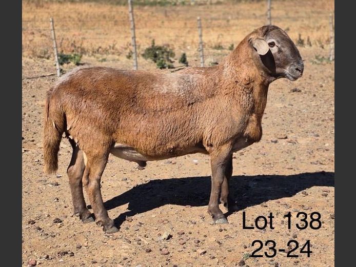 23-024 | DIRK LOTTER