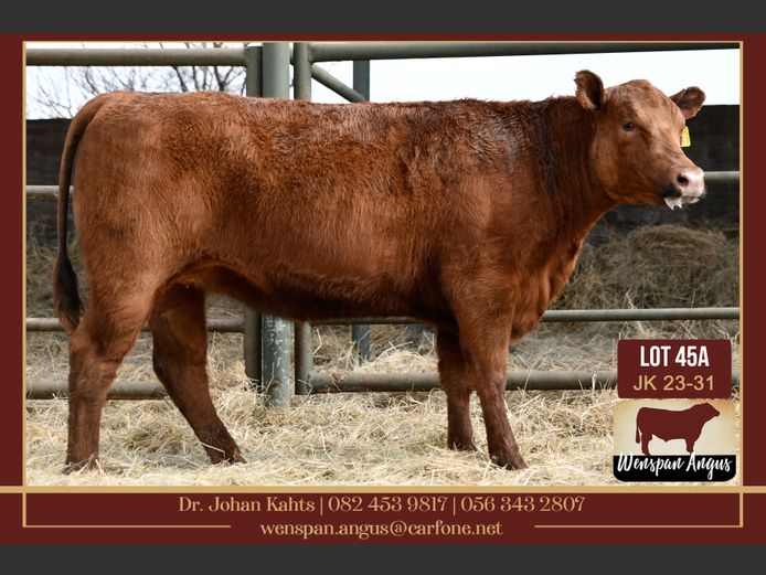 JK 230031 | J. KAHTS