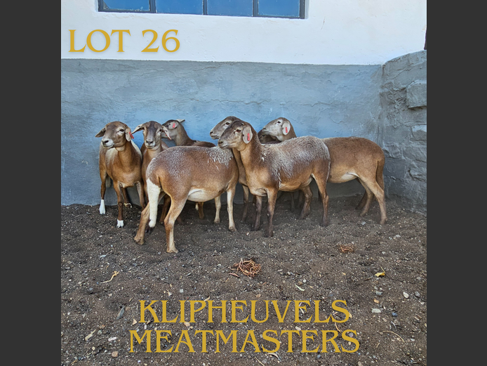 74 | KLIPHEUVELS MEATMASTER