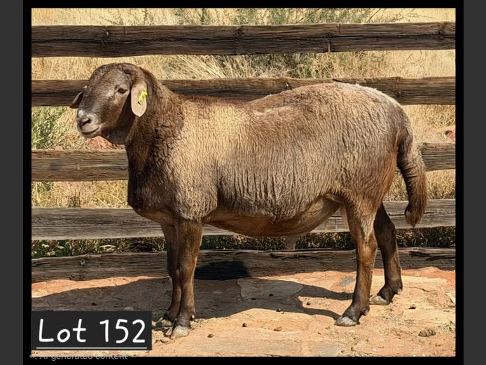 25-36 | PG VAN DEVENTER