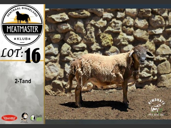 Ram | Kimonate Meatmasters