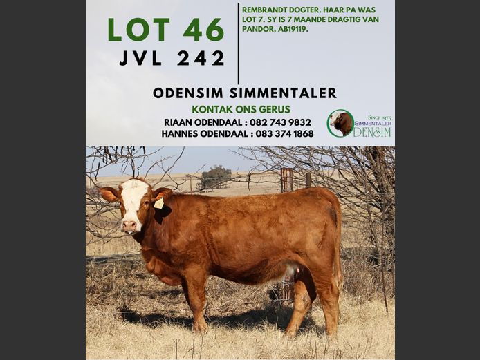 JVL242 | AG ODENDAAL