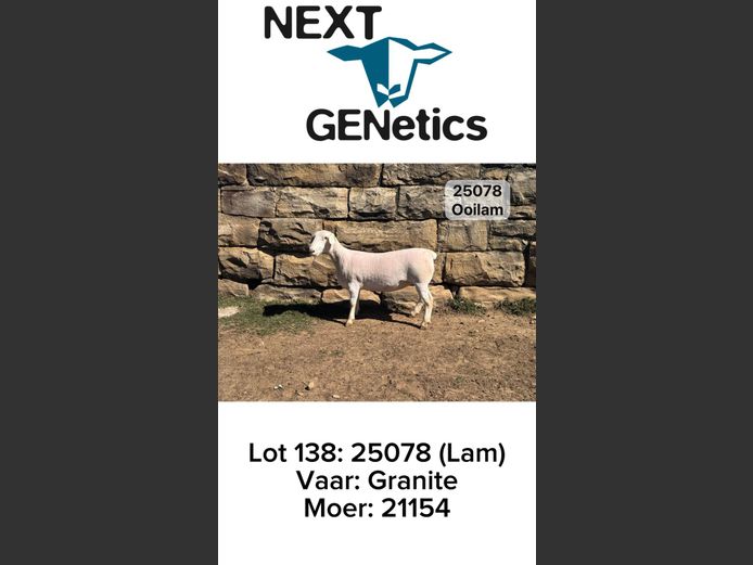 25078 | NEXT GENETICS