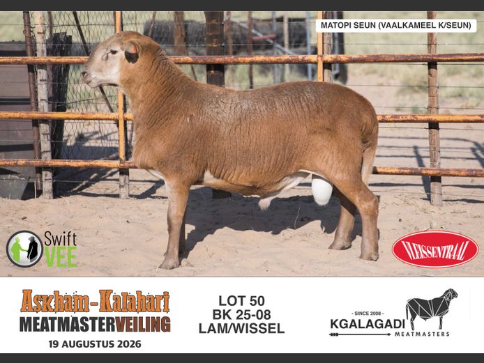BK 25-08 | BARRI KNOETZE