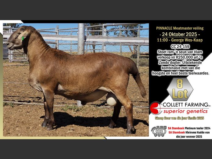 CC  240159 | COLLETT FARMING CC