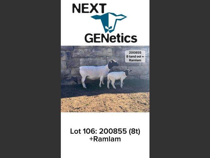 200855 | NEXT GENETICS