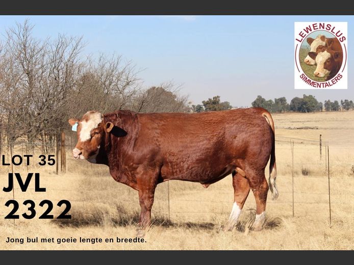 JVL2322 | JSH VAN DER LINGEN