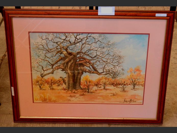 FRAMED WATERCOLOUR "BAOBAB TREE" SIGNED MOREEN McLEOD, 51 x 35cm