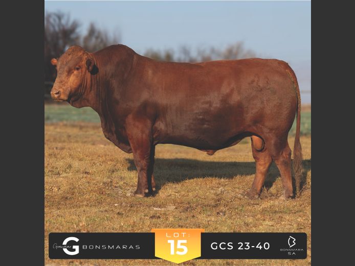 GCS 230040 | G.C. STANFORD