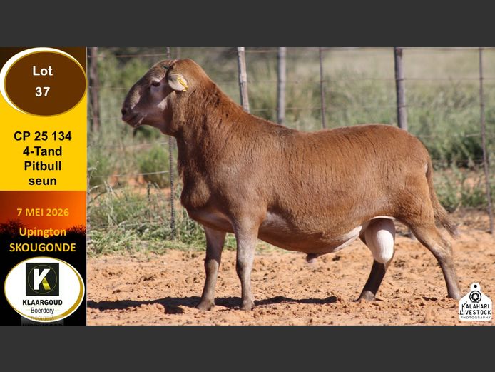 CP 25 134 | KLAARGOUD BOERDERY
