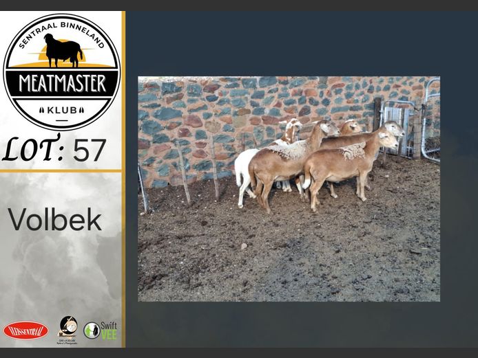 Ooie | H Koekemoer Meatmasters