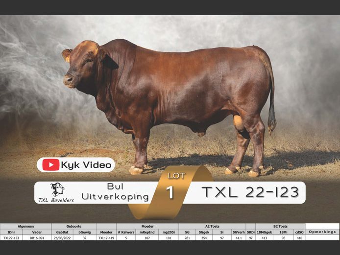 TXL22-123