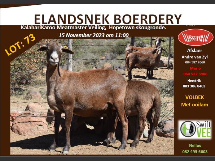 RSL 73 | ELANDSNEK BOERDERY