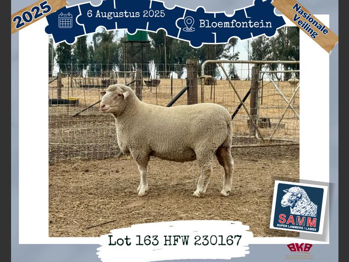 23-0167HFW | WESSELS H F