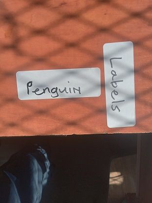 images