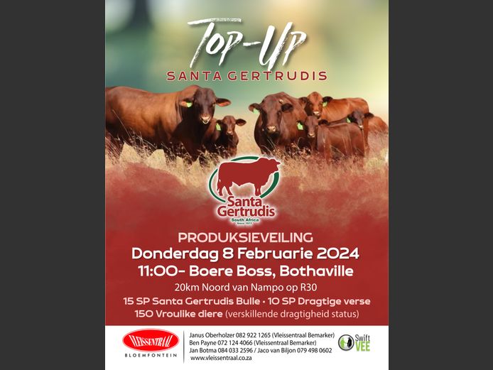 TOP-UP SANTA GERTRUDIS VEILING