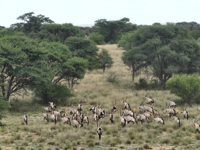 Farm 424 BEAULIEU KURUMAN RD