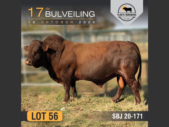 SBJ200171 | J.P.F. DU TOIT