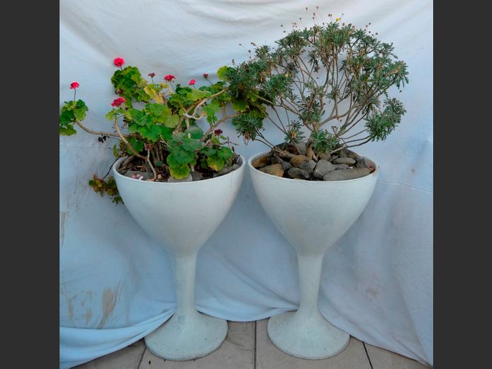 PAIR ASBESTOS WINE GLASS SHAPED PLANTERS WITH PLANTS, 51cm Diameter x 74cm High