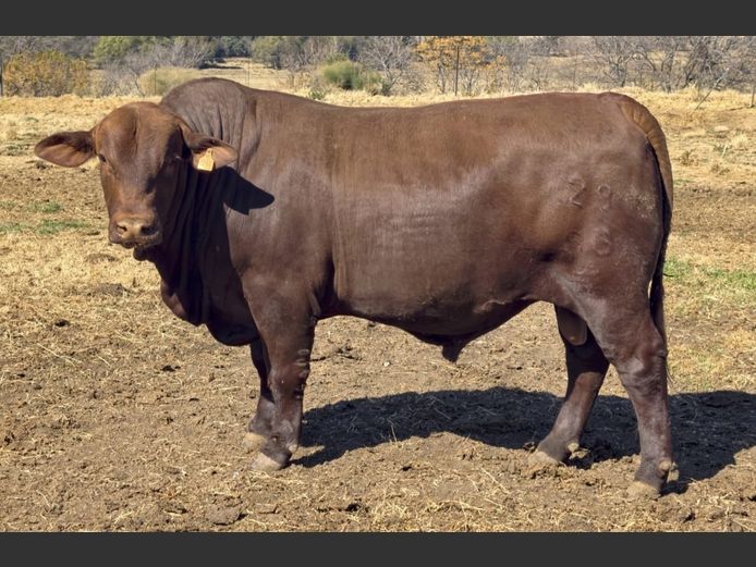 SP 230066 HH | PINEKLOOF TRUST