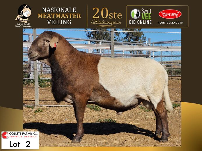 CC 230635 | COLLETT FARMING CC