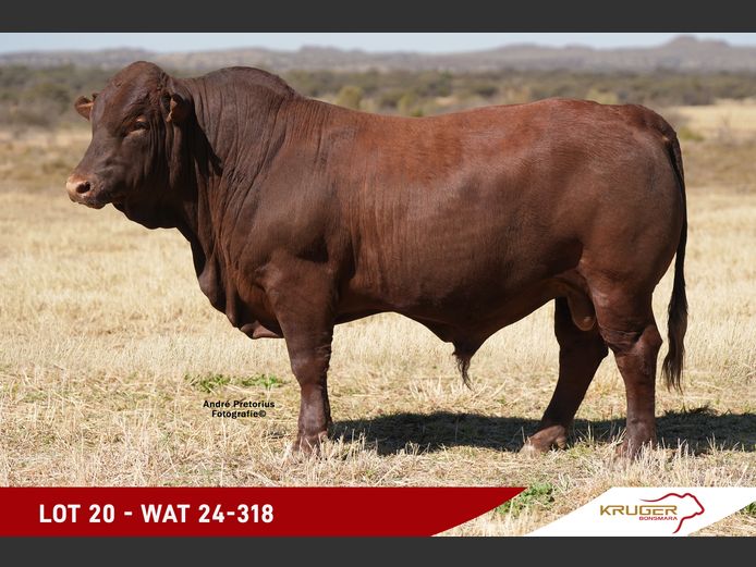 WAT240318 | KRUGER BOERDERY