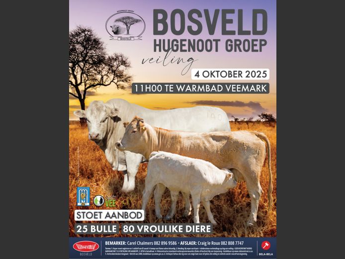 BOSVELD HUGENOOT GROEP VEILING 