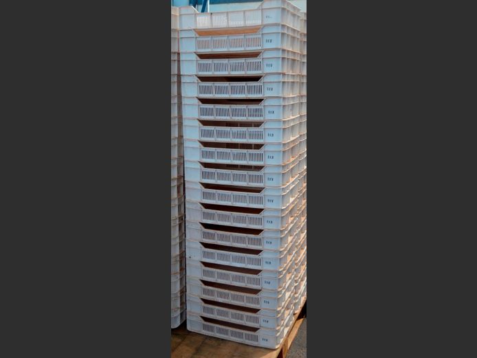 LOT OF 16: PLASTIC FRUIT CRATES