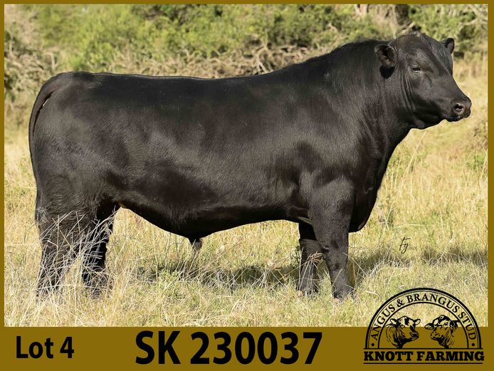 SK 230037 | KNOTT FARMING (PTY) LTD