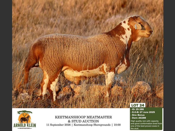 25-288 | Arnold Klein Meatmasters