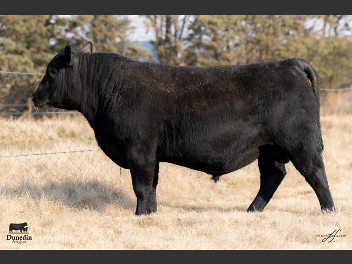 KCM 230093 | TABLE HILL FARMING PTY LTD