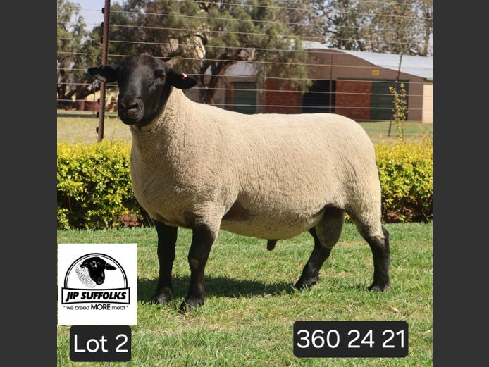 360240021 | J.I. POTGIETER