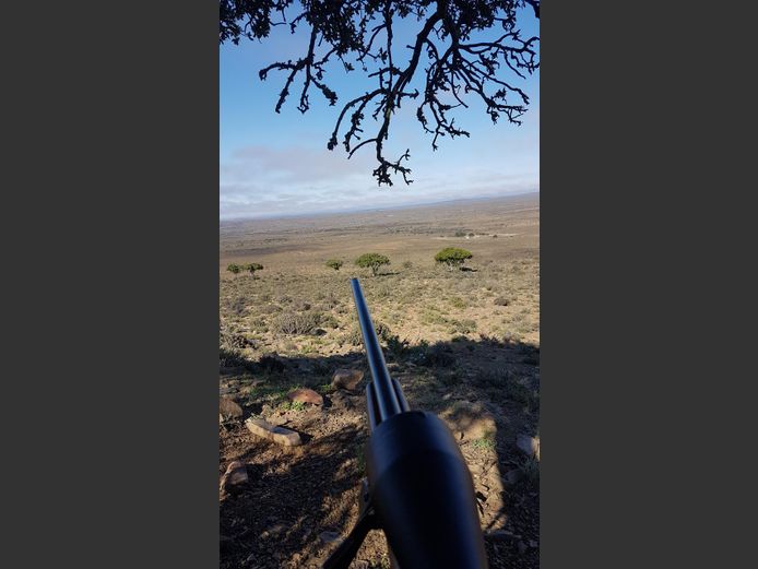 Management Biltong hunt for 12 springbuck. 2026 Hunting Season | Hope Well Farms