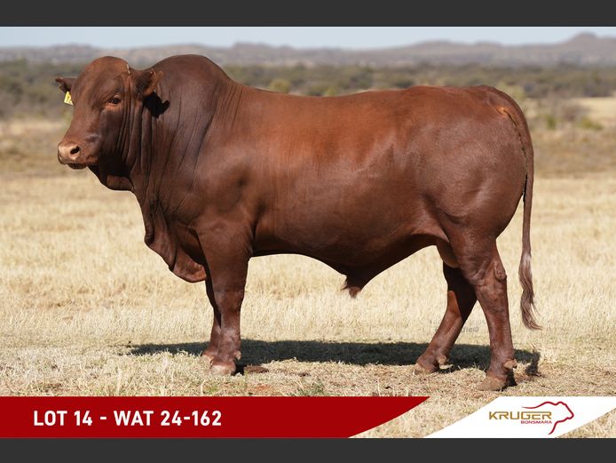 WAT240162 | KRUGER BOERDERY