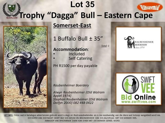 Trophy “Dagga” Bull – Eastern Cape