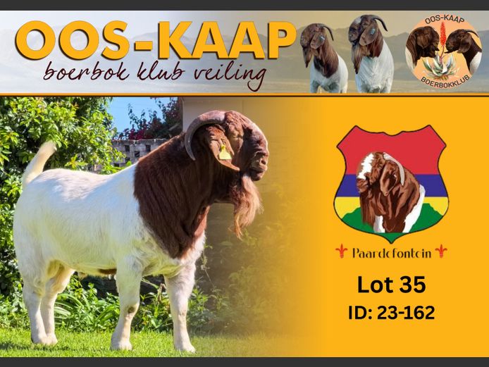 23-162 | Paardefontein BBS