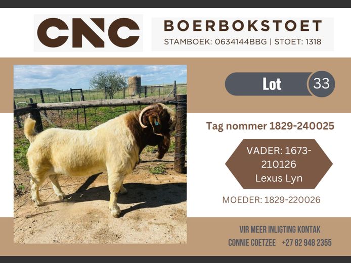 1829240025 | CNC Boerbokstoet