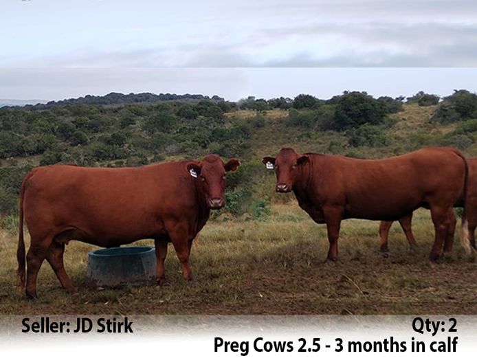 Commercial Animals | J D Stirk