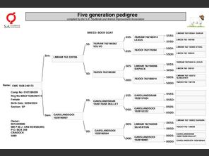 genetic_data