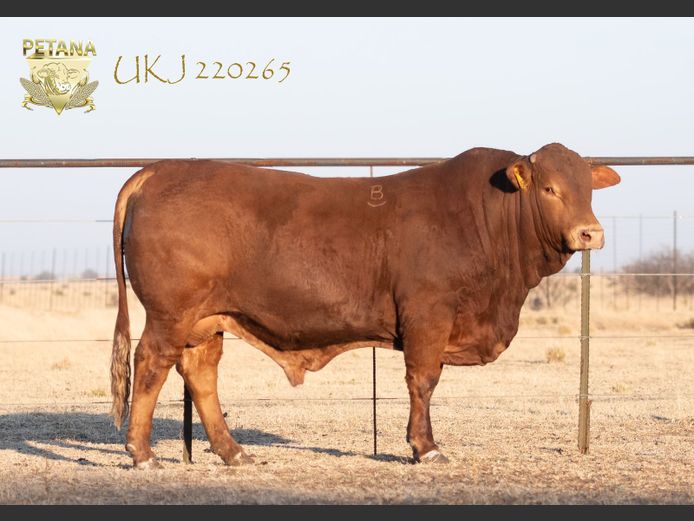 UKJ 220265