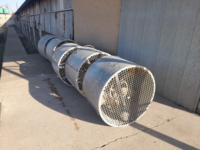 LOT OF SILO FANS