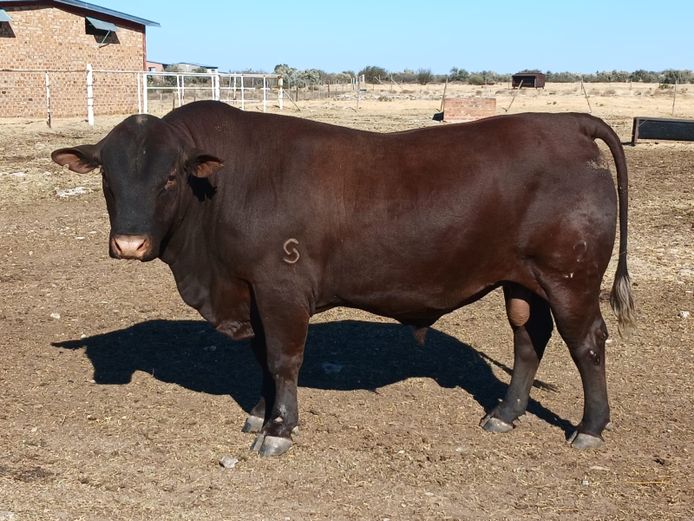 AB 220038 | CCR BEEF (PTY) LTD