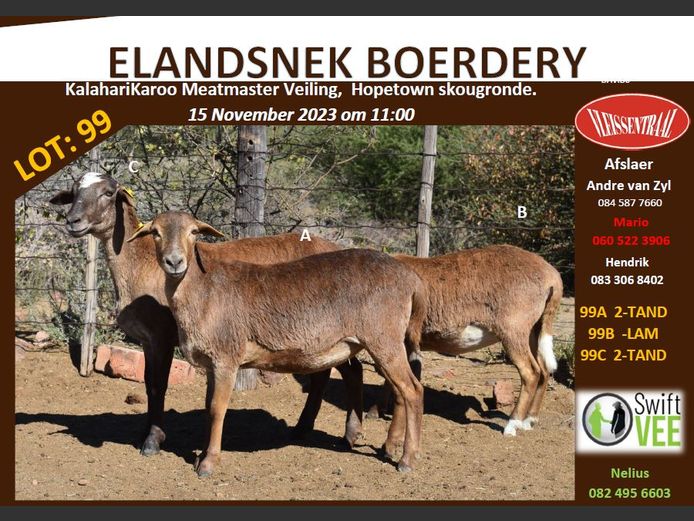 RSL 99 C | ELANDSNEK BOERDERY