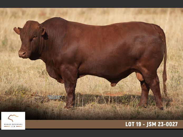 JSM 230027 | MARAIS BONSMARAS