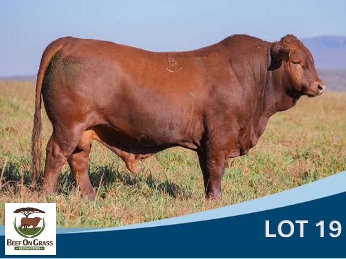 BOG 220024 | BEEF ON GRASS PTY LTD