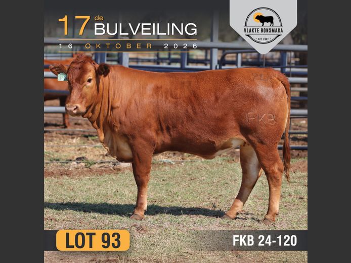 FKB240120 | FRITS KROON BOERDERY