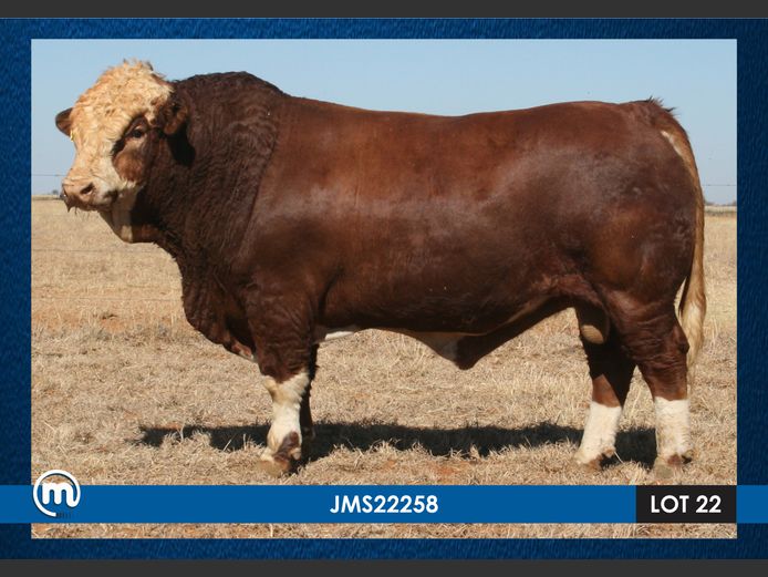 JMS22256