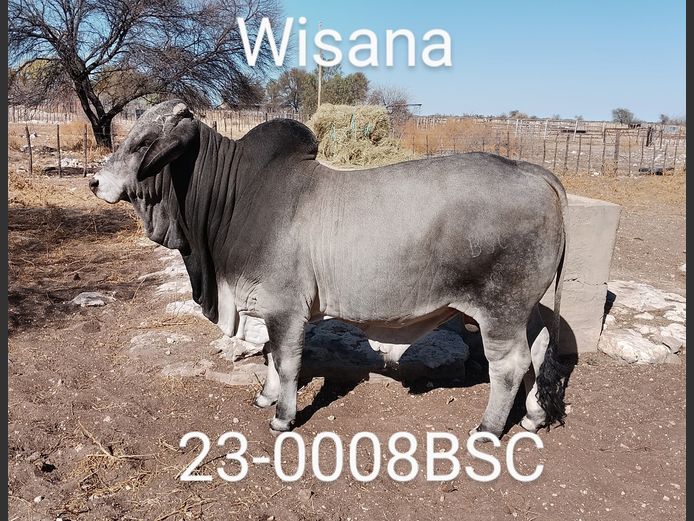 23-0008BSC | WISANA BRAHMAN
