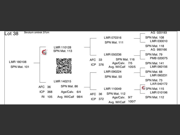 LMR 180108