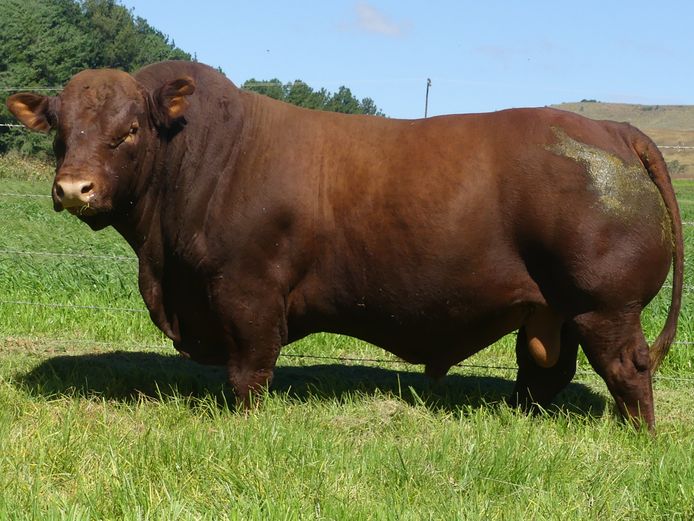 LAR 220403 | UP GEORGE FARMS CC